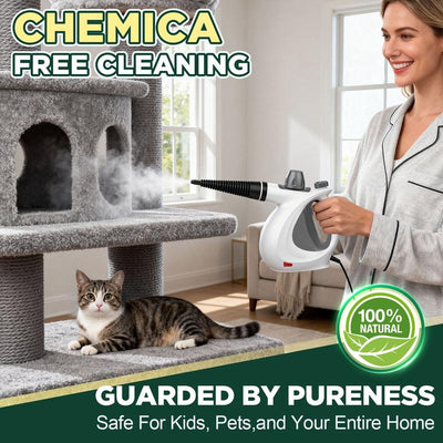 Steam Cleaner Kit